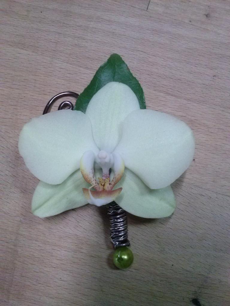 Boutonnière du marié