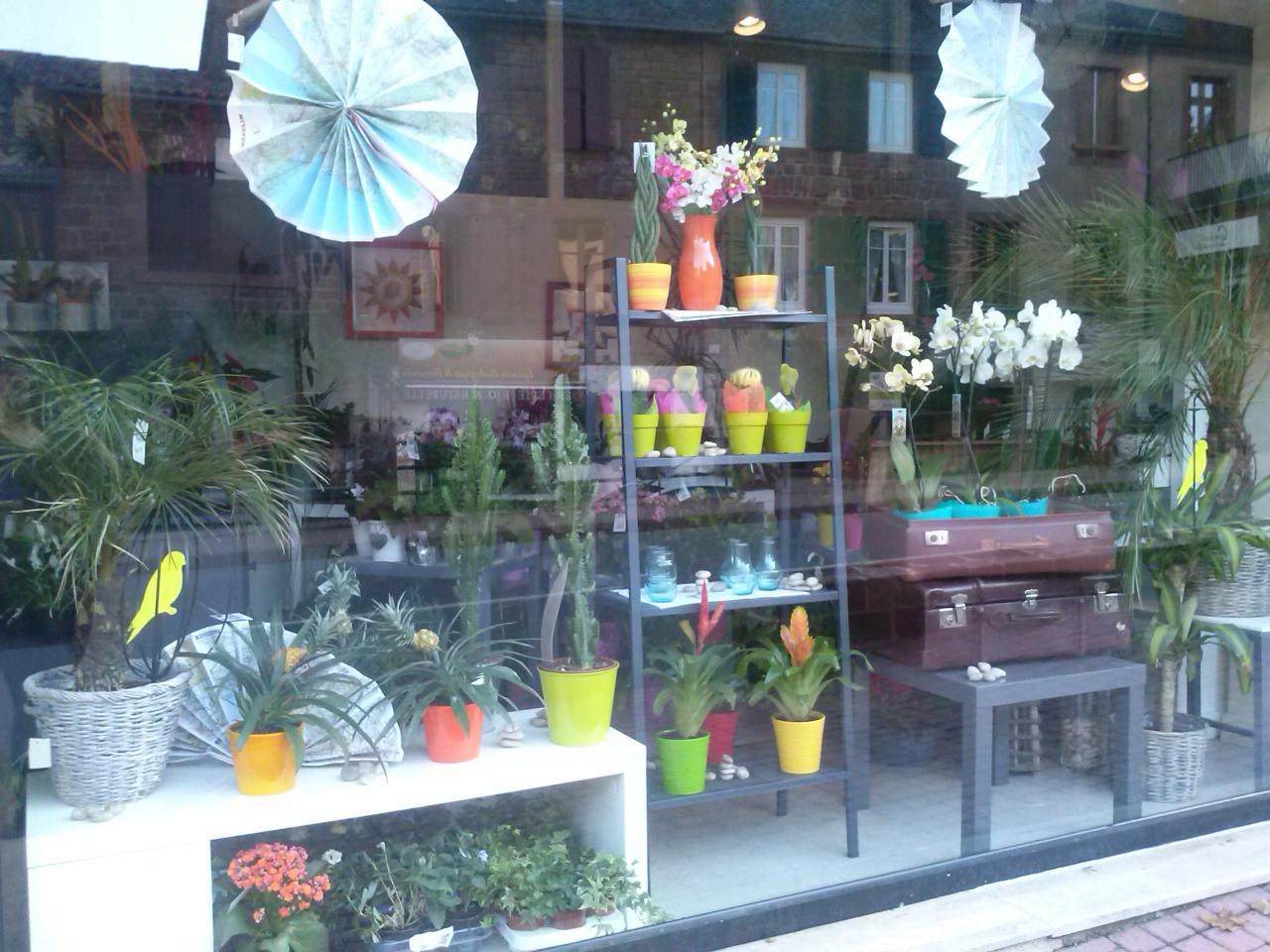 Vitrine d'été