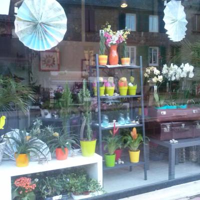 Vitrine d'été