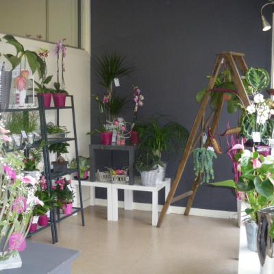 La boutique AMELIMELO Fleurs