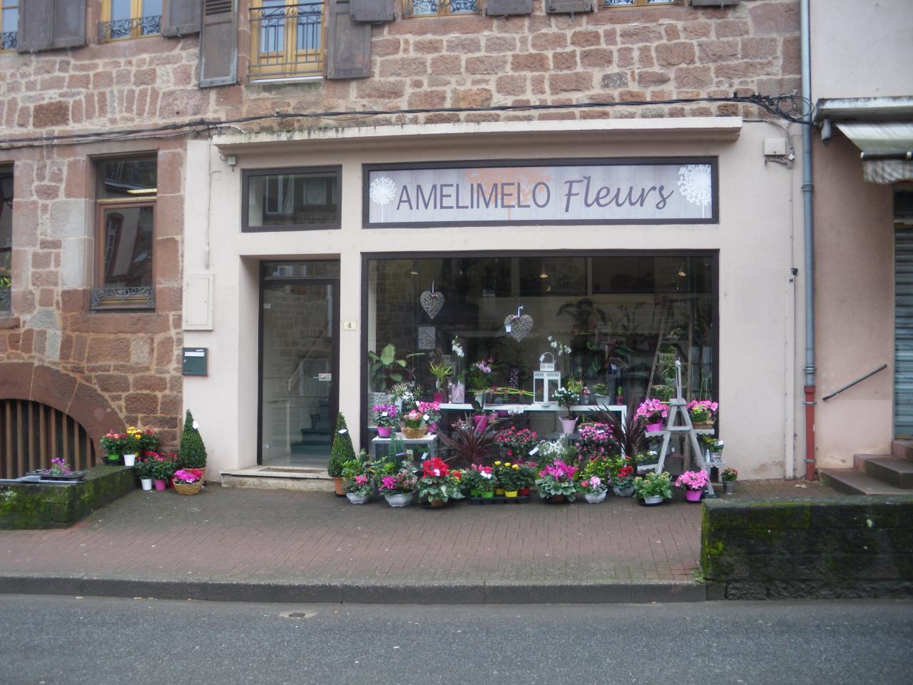 IMGP8008