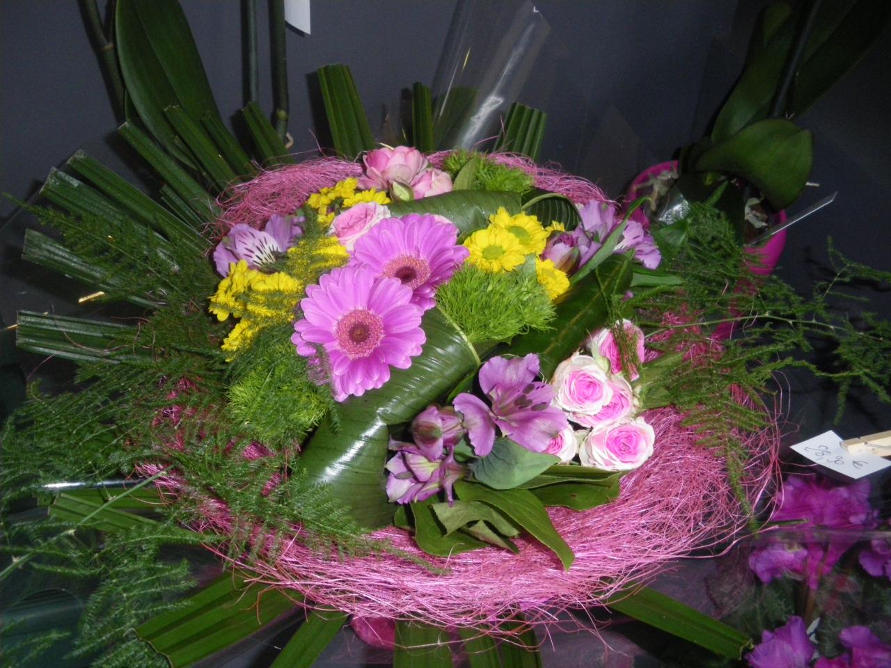 IMGP8069
