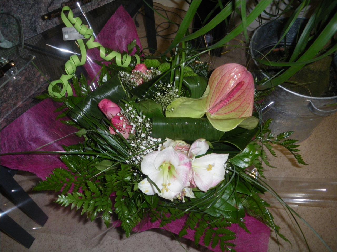 IMGP8117